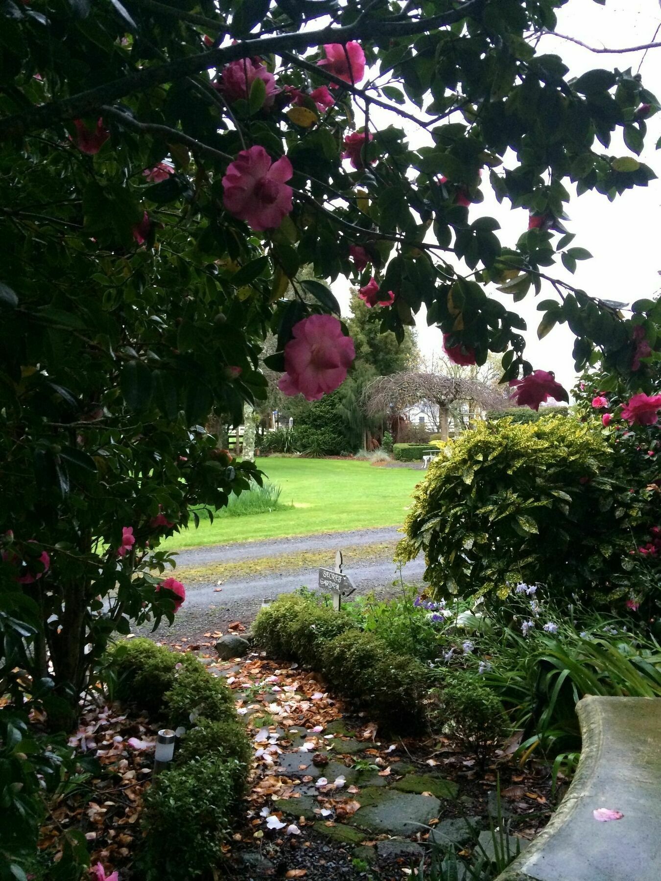 ケンブリッジ Blairgowrie House Bed & Breakfast エクステリア 写真
