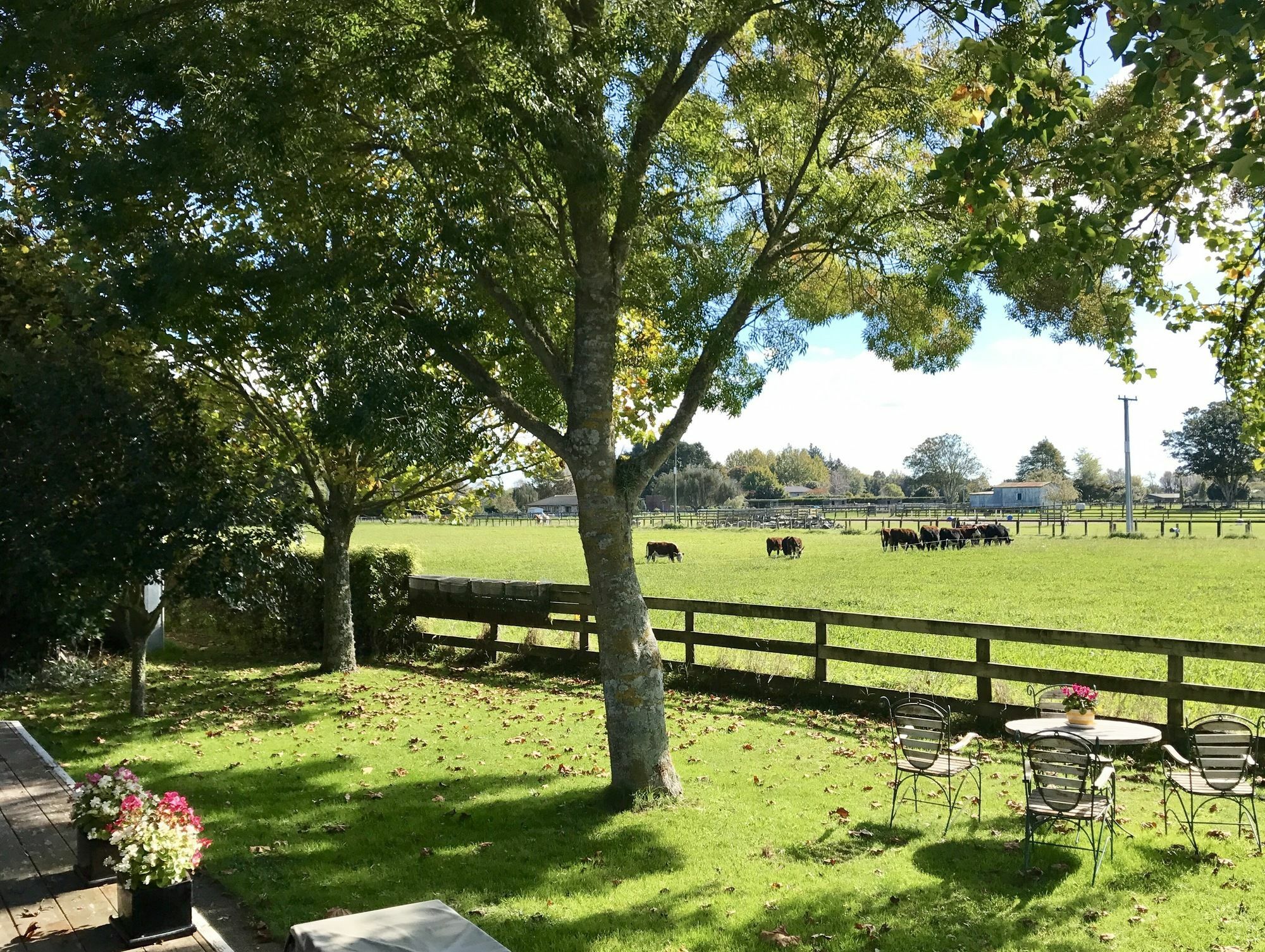 ケンブリッジ Blairgowrie House Bed & Breakfast エクステリア 写真